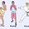 Erste schritte mit mixed martial arts