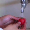 Eine tomate entkernen