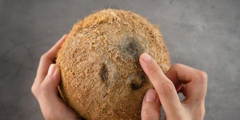 Eine kokosnuss aushöhlen
